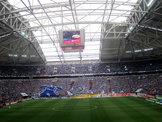 FC Schalke 04 vs VfL Wolfsburg (1-0) (22)