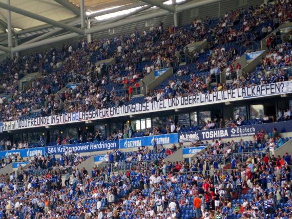 FC Schalke 04 vs 1. FSV Mainz 05 (1-3) (7)