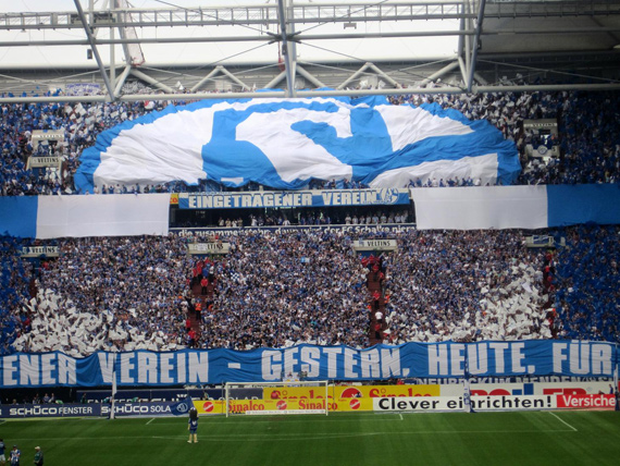 FC Schalke 04 vs 1. FSV Mainz 05 (1-3) (13)