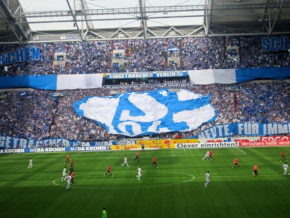 FC Schalke 04 vs 1. FSV Mainz 05 (1-3) (21)