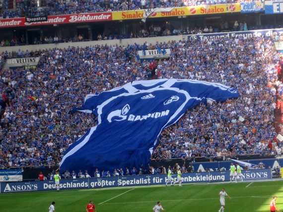 FC Schalke 04 vs 1. FSV Mainz 05 (1-3) (30)