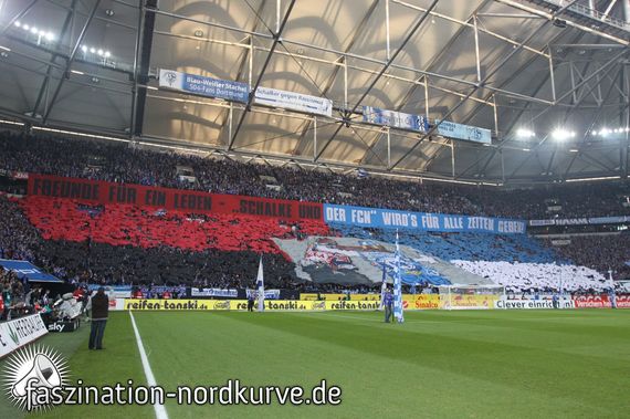 FC Schalke 04 vs 1. FC Nürnberg (2-2) (3)