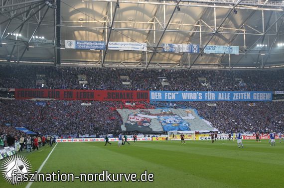 FC Schalke 04 vs 1. FC Nürnberg (2-2) (4)