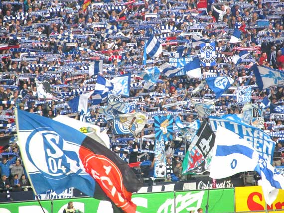 FC Schalke 04 vs 1. FC Nürnberg (2-2) (14)