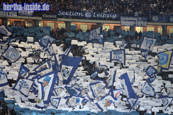 Hertha BSC vs FC Schalke 04 (1-2) (2)