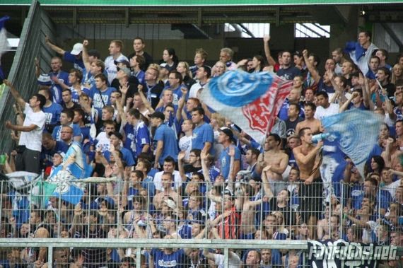 VfL Wolfsburg vs FC Schalke 04 (2-1) (7)