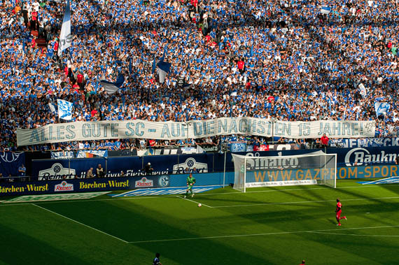 FC Schalke 04 vs FC Augsburg (3-1) (9)