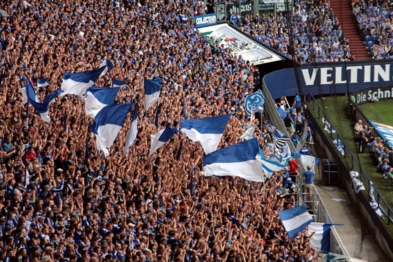FC Schalke 04 vs FC Augsburg (3-1) (14)