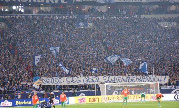 FC Schalke 04 vs SpVgg Fürth (1-2) (4)