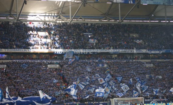 FC Schalke 04 vs SpVgg Fürth (1-2) (8)