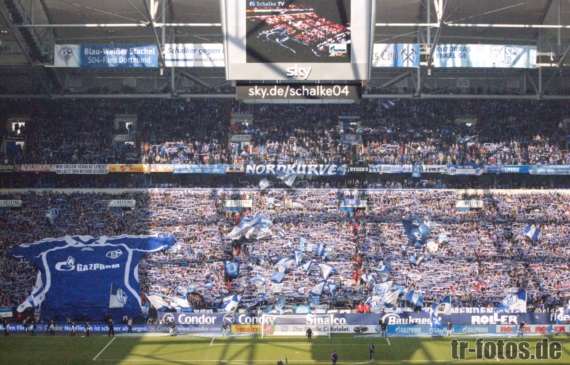 FC Schalke 04 vs TSG Hoffenheim (3-0) (2)