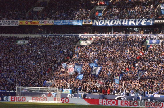 FC Schalke 04 vs TSG Hoffenheim (3-0) (4)