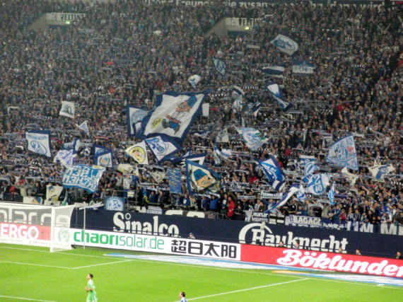 FC Schalke 04 vs VfL Wolfsburg (3-0) (7)
