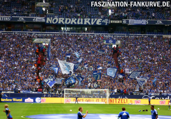 FC Schalke 04 vs Hamburger SV (3-3) (5)