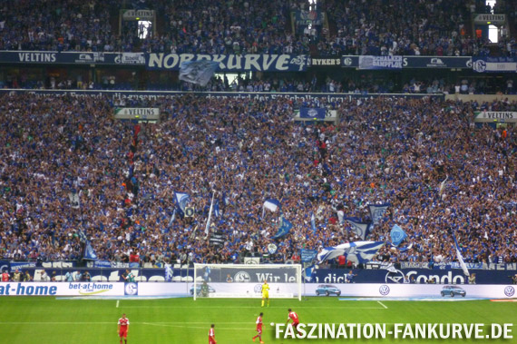 FC Schalke 04 vs Hamburger SV (3-3) (12)