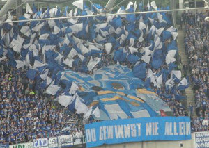 Hannover 96 vs FC Schalke 04 (2-1)