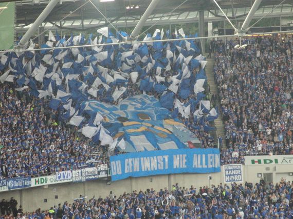 Hannover 96 vs FC Schalke 04 (2-1) (2)