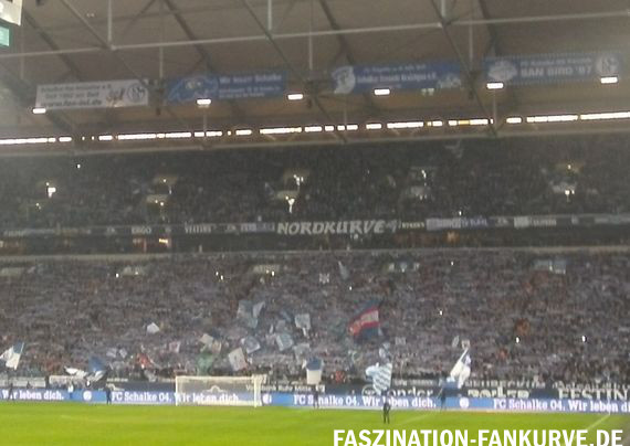 FC Schalke 04 vs 1. FC Köln (1-2) (2)
