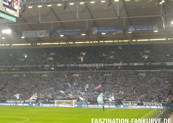 FC Schalke 04 vs 1. FC Köln (1-2) (3)