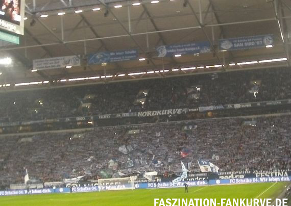 FC Schalke 04 vs 1. FC Köln (1-2) (4)