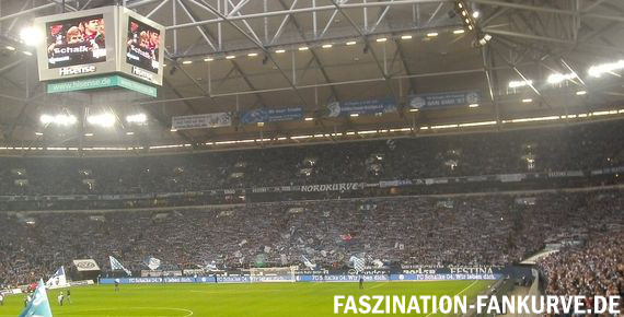 FC Schalke 04 vs 1. FC Köln (1-2) (5)