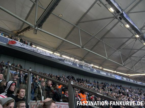 FC Schalke 04 vs 1. FC Köln (1-2) (7)