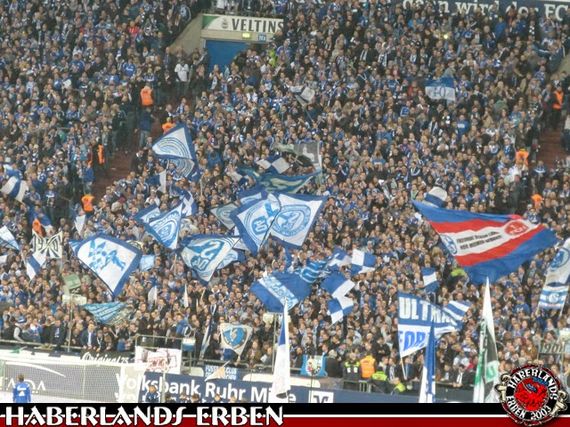 FC Schalke 04 vs Bayer 04 Leverkusen (0-1) (3)
