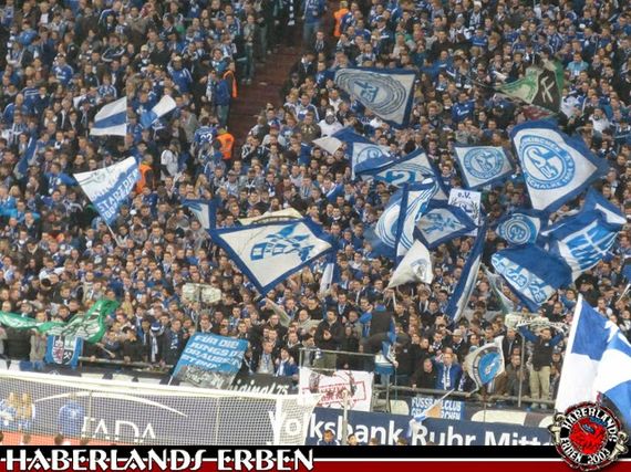 FC Schalke 04 vs Bayer 04 Leverkusen (0-1) (8)