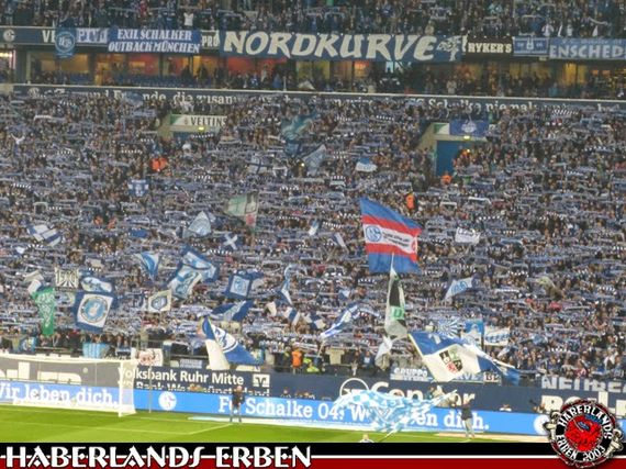 FC Schalke 04 vs Bayer 04 Leverkusen (0-1) (14)