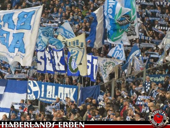 FC Schalke 04 vs Bayer 04 Leverkusen (0-1) (17)