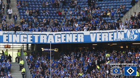 Hamburger SV vs FC Schalke 04 (2-0) (1)