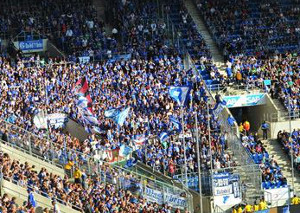 TSG Hoffenheim vs FC Schalke 04 (2-1)