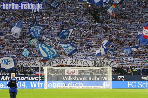 FC Schalke 04 vs Hertha BSC (2-0) (4)