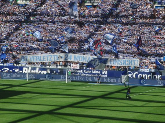 FC Schalke 04 vs SV Darmstadt 98 (1-1) (2)
