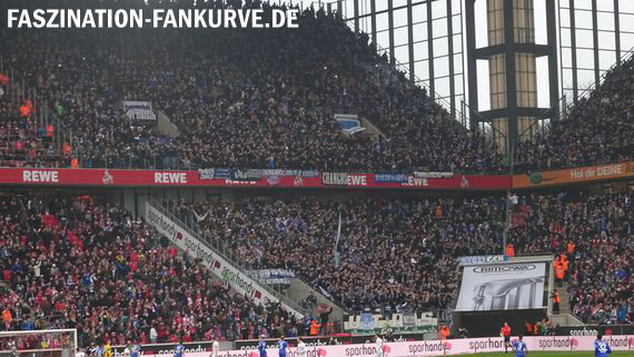 1. FC Köln vs FC Schalke 04 (1-3) (10)