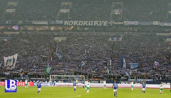 FC Schalke 04 vs Werder Bremen (3-1) (7)