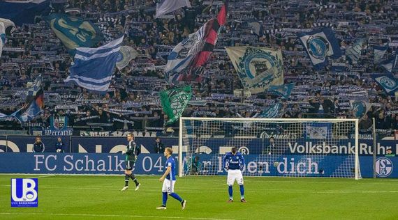 FC Schalke 04 vs Werder Bremen (3-1) (8)
