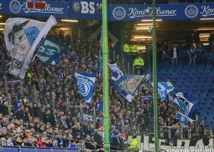 Hamburger SV vs FC Schalke 04 (2-1)