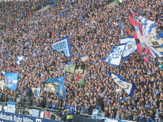 FC Schalke 04 vs FC Ingolstadt 04 (1-0) (2)