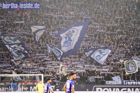 FC Schalke 04 vs Hertha BSC (2-0) (3)