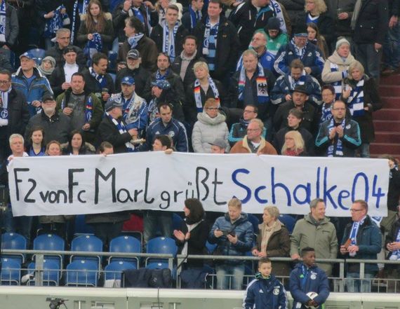 FC Schalke 04 vs TSG Hoffenheim (1-1) (14)