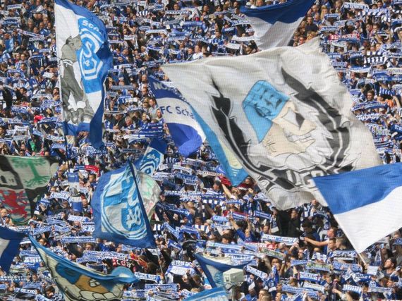 FC Schalke 04 vs VfL Wolfsburg (4-1) (9)