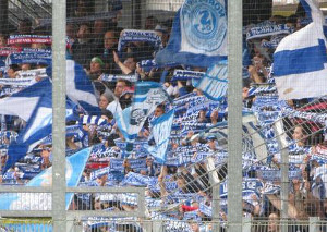 SC Freiburg vs FC Schalke 04 (2-0)