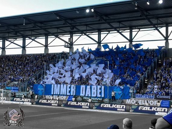 FC Ingolstadt 04 vs FC Schalke 04 (1-1) (8)