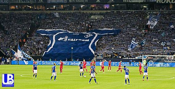 FC Schalke 04 vs 1. FC Köln (1-3) (5)
