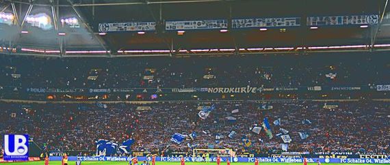 FC Schalke 04 vs 1. FC Köln (1-3) (7)