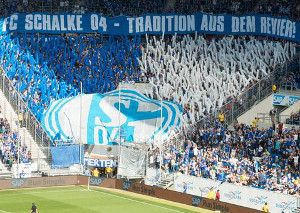 TSG Hoffenheim vs FC Schalke 04 (2-1)