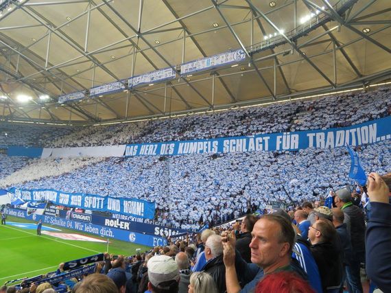 FC Schalke 04 vs RB Leipzig (2-0) (15)