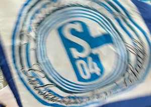 SC Freiburg vs FC Schalke 04 (0-1)