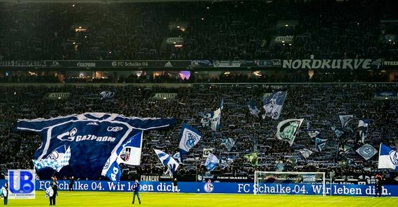 FC Schalke 04 vs 1. FC Köln (2-2) (7)